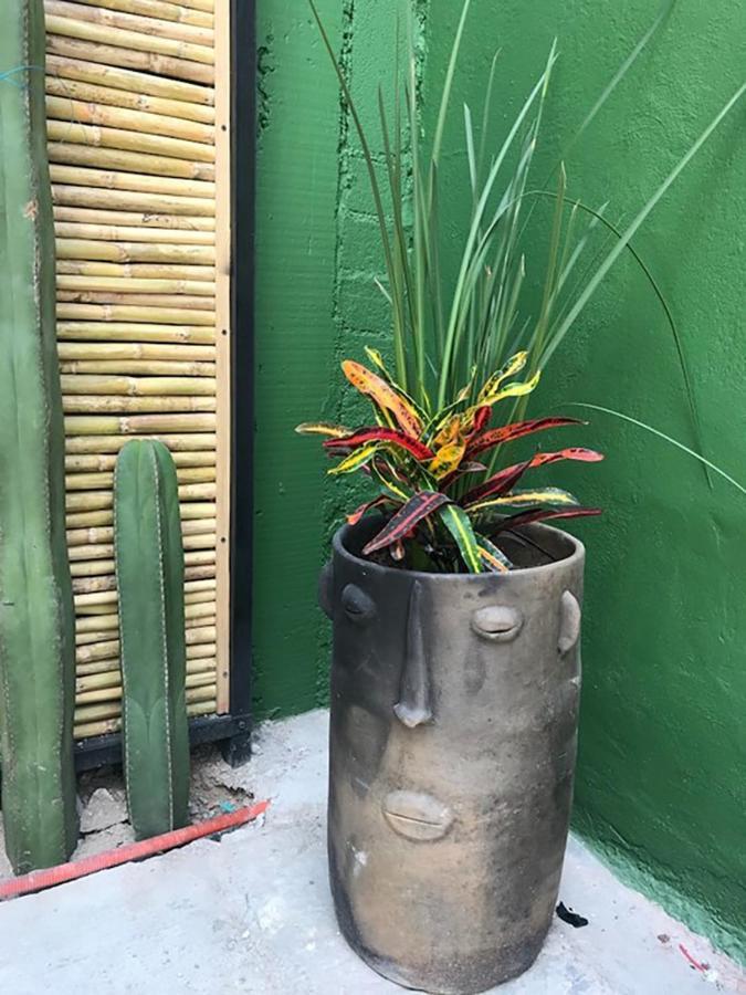 Casa Comoda Con Patio A 4 Cuadras De La Catedral. Oaxaca المظهر الخارجي الصورة