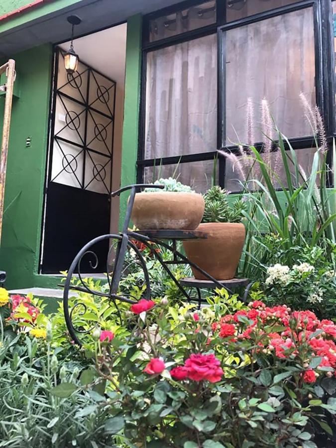 Casa Comoda Con Patio A 4 Cuadras De La Catedral. Oaxaca المظهر الخارجي الصورة