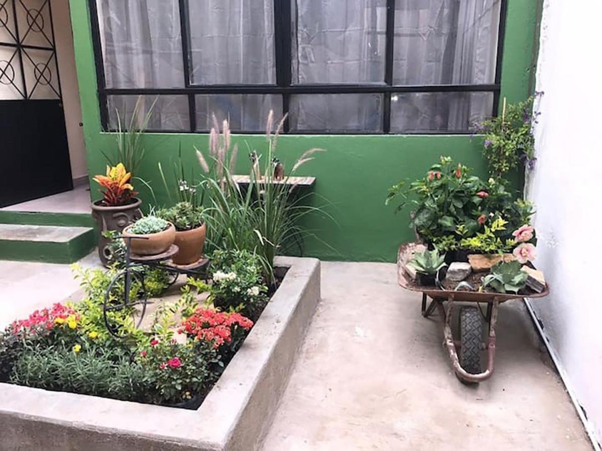 Casa Comoda Con Patio A 4 Cuadras De La Catedral. Oaxaca المظهر الخارجي الصورة